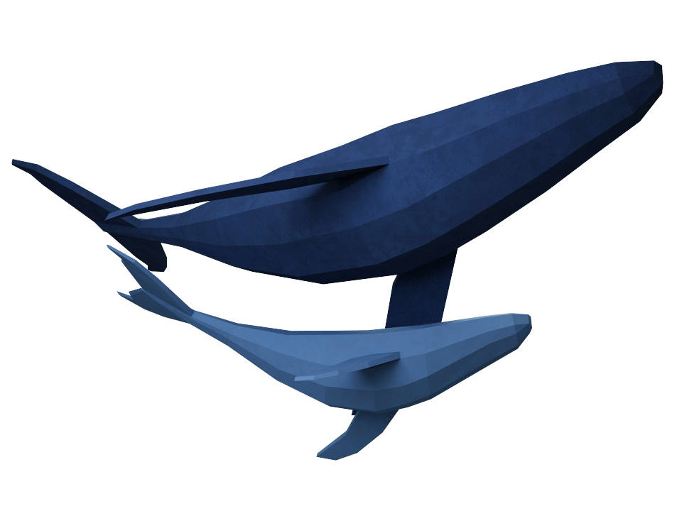 Hanging Whales